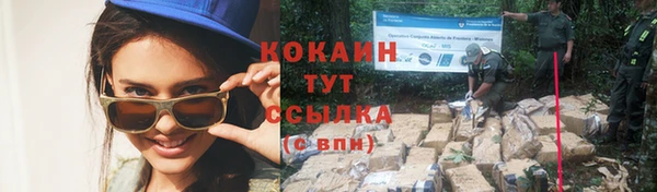крисы Богородск